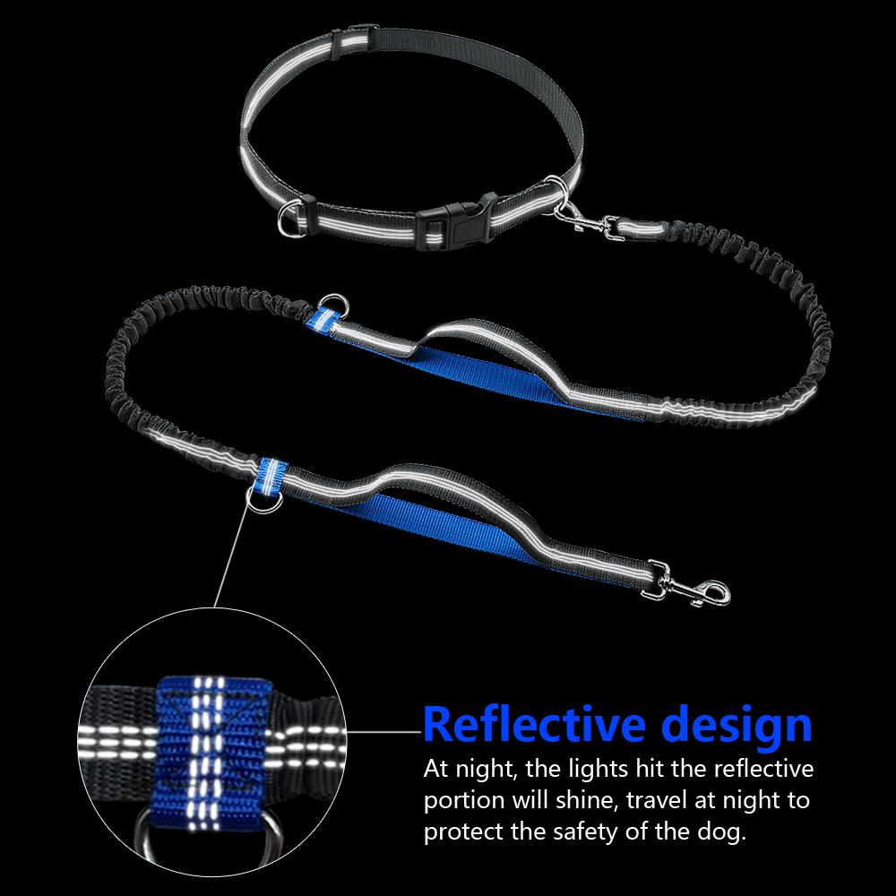 Professional 2022 New Reflective Leash Traction Rope Pet Dog Running Belt Elastic Hands Freely Jogging Pull Dog Leash Metal D-ring Leashes
