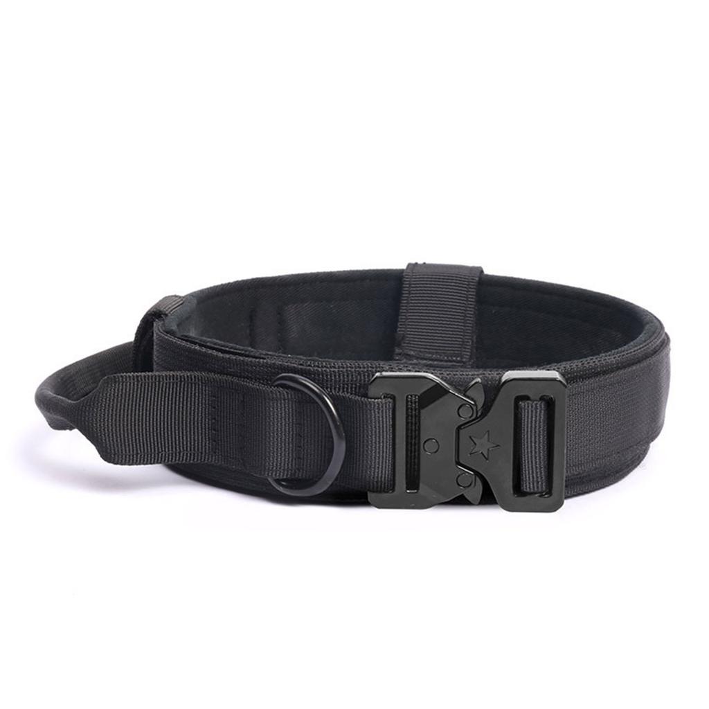 Outdoor Training Tactics For Large  Sized Outdoor Dogs Dog Pet Collar