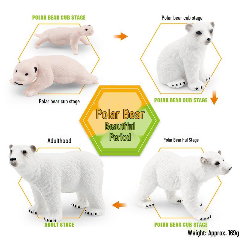 Animal Growth Cycle Models: Chicken, Duck, Goose, Butterfly, Turtle, Frog Montessori Teaching Figurines
