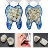 1 Box Dental Temporary Crown Veneer Porcelain Teeth Front Back Molar Teeth
