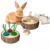 Wooden Hamster Toys, Pet Foraging Snack Boxes, Rabbit and Guinea Pig Teething Educational Toys, Hamster Landscaping Supplies