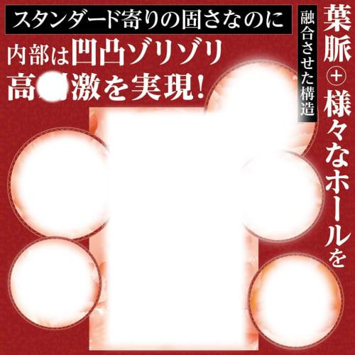 Tamatoys AI AIV NO.05 Made in Japan 450g Masturbator