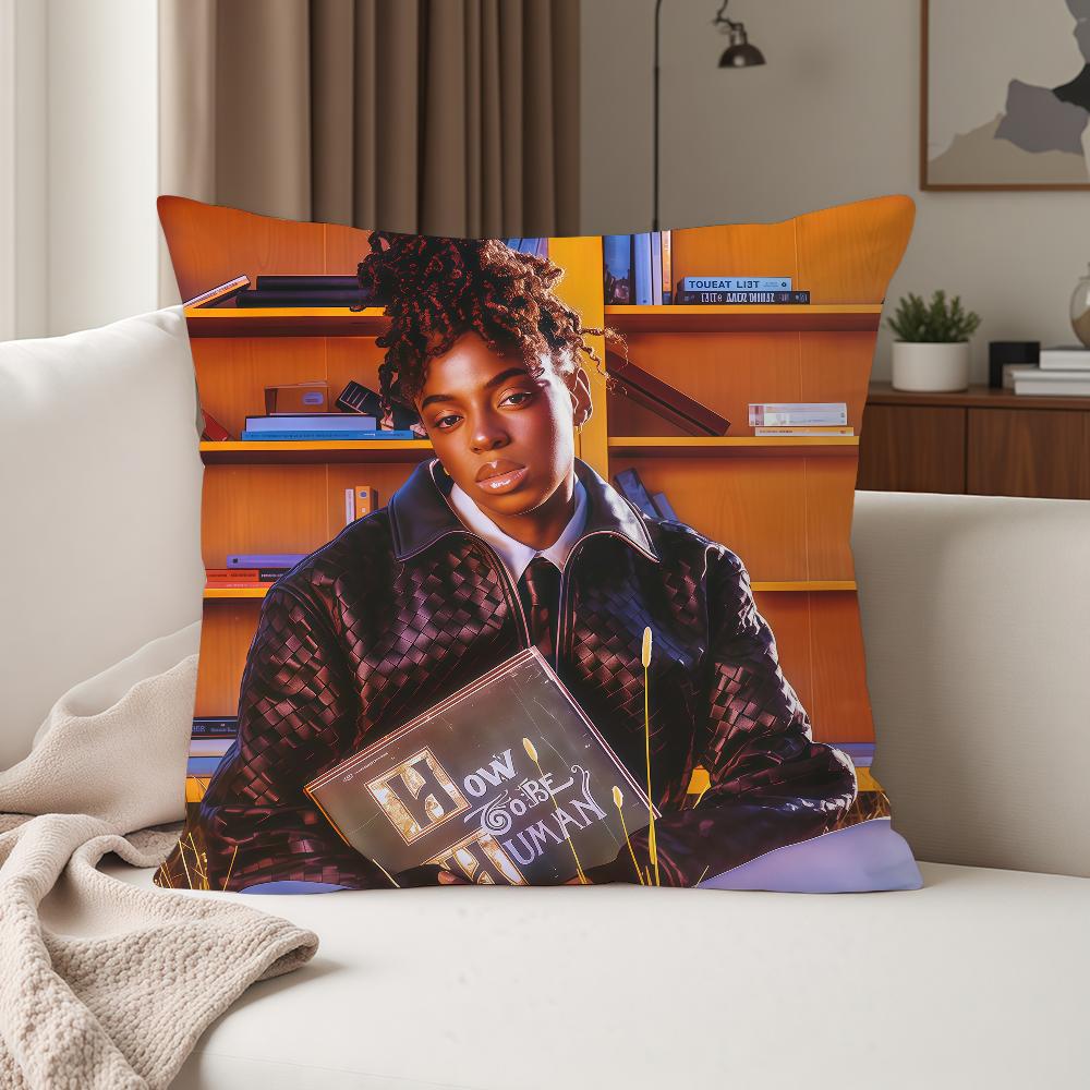 Singer Cat B-burns How To Be Human Pillow Case Suitable For Bedrooms Living Rooms Cars Home Decoration
