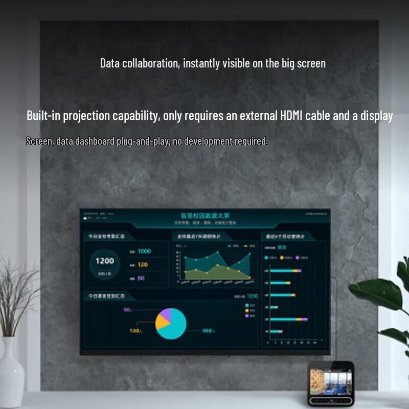 DingTalk Modian D3 Smart Facial Recognition Access Control Machine CN plug (adapter included)