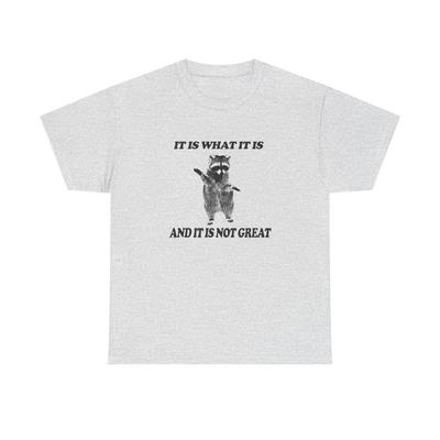 It Is What It Is Funny Raccoon Graphic T Shirt Unisex Heavy Cotton Tee