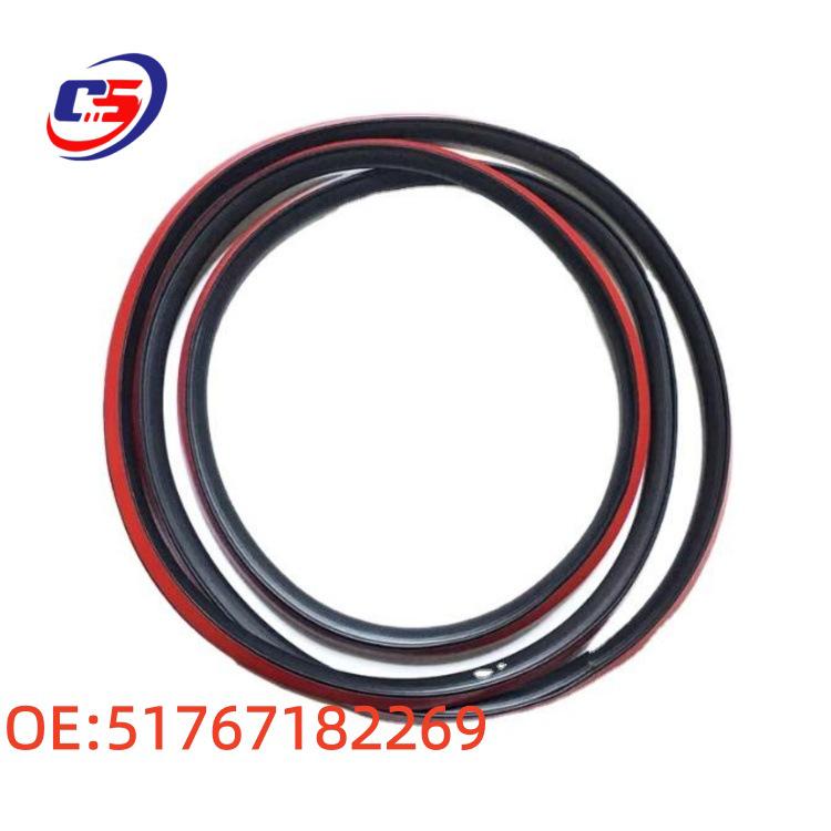 BMW 5 Series F10/F11/F18 Front Door Seals - Model 51767182269