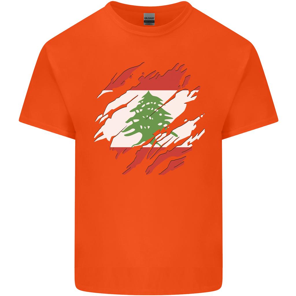 Torn Lebanon Flag Lebanese Day Football Unisexs Light Cotton TShirt