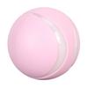 Interaktives Hundeballspielzeug mit Fernbedienung USB Wiederaufladbarer Hund Automatischer Rollball mit LED