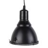 5.5in Reptile Lamp Fixture Uniform Heating Professional Shallow Dome Lamp Cap for Amphibians