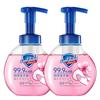 Safeguard Antibacterial Foaming Hand Soap, Cherry Blossom