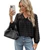 Zwitserse Stippen Chiffon Blouse V-hals Lange Mouwen Top | Verhoogde stippen textuur, doorschijnende mouwen, gevoerd lijfje, losse pullover pasvorm, chic casual styling