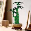 LEGO Botanical Lucky Bamboo Toy Building Blocks Decorative Fake Plant Home Decor Gift for Men and Women 10344