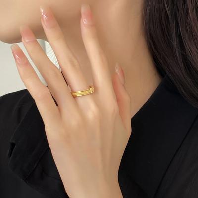 Gypsy Matte Plain Ring Titanium Steel Electroplated Ring Women's Retro Light Luxury Accessories