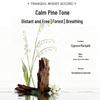 Vidal Sassoon Blue Diamond Anti-Dandruff Revitalizing Shampoo