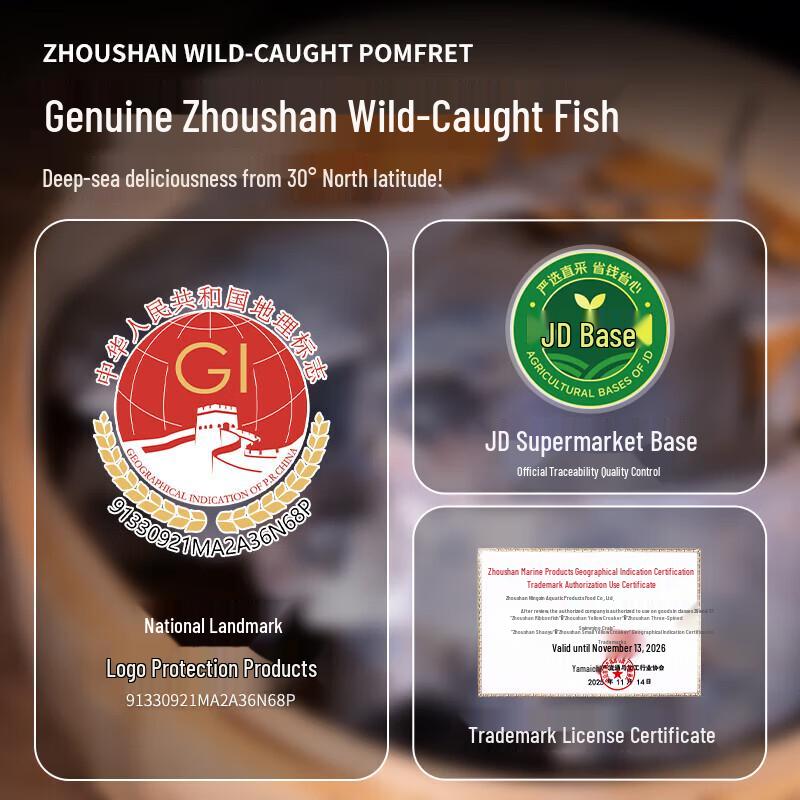 Hai Ding Ji Zhoushan Wildfang Großer Silber-Pomfret