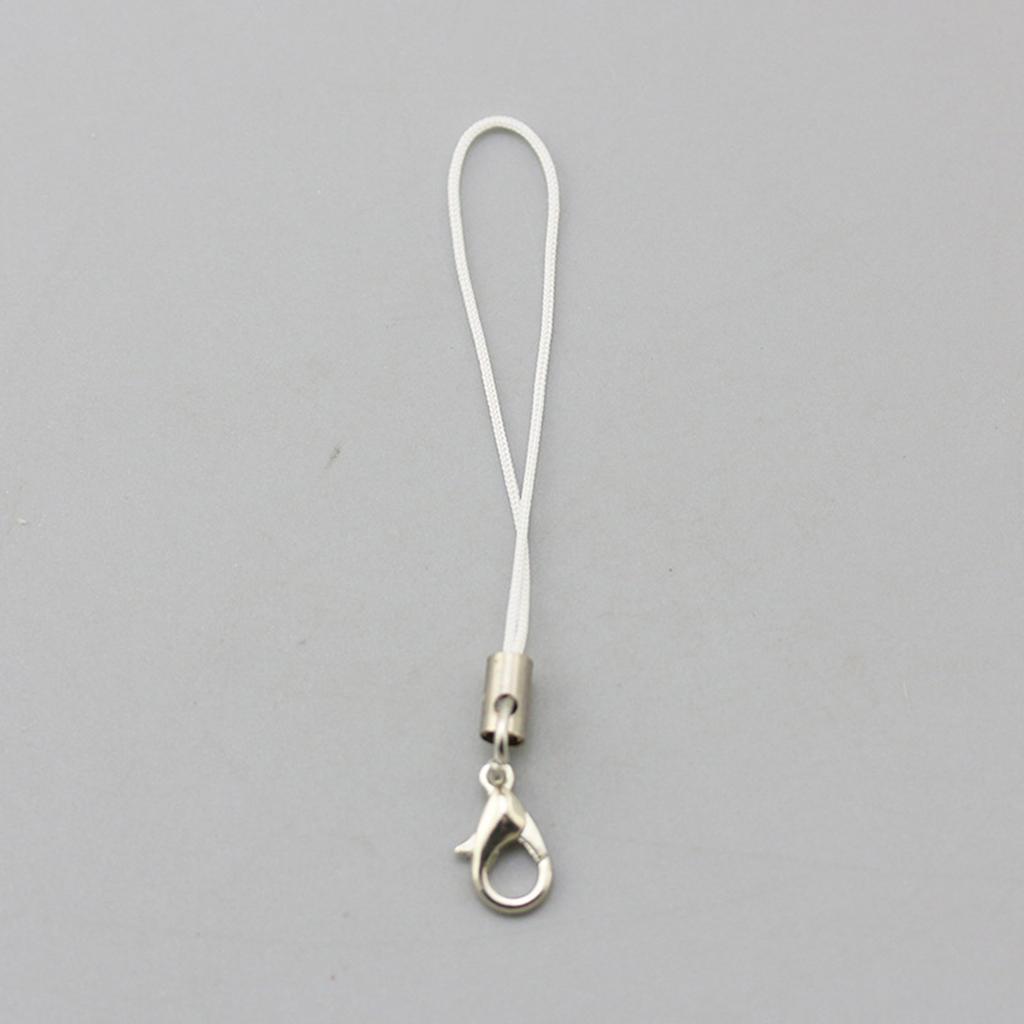 Set of 2 Durable DIY Phone Lanyard Nylon Phone Charm Carabiner Wrist Lanyard Suitable for MP4 Players and DIY Projects