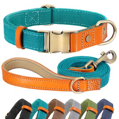 Hundehalsband Leine Set Nylon Leder Hunde Halskette Haustier ID Marke Halsbänder 5ft Führleine Seil Für Hunde Mops
