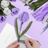 Pipe Cleaners Set 11.8 Inch Pipe Cleaners Chenille Stems Craft Supplies Bulk for Tulip Bouquet Making, Art DIY Craft Projects