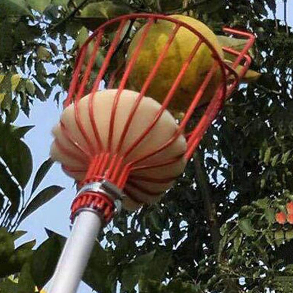 Convenient Picking Basket for Fruit Harvesting And Compatible
