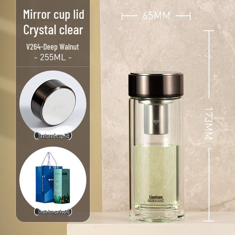 Portable Double-Layer Glass Tea Infuser Bottle with Filter