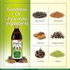 Multani Pachmeena Tonik Digestive Syrup Ayurvedic Digestive Support for Gas, Bloating & Appetite 300 ml Pack of 2