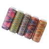 5pcs Multicolor Gradient Sewing Quilting Embroidery Thread Spools Garment Accessory