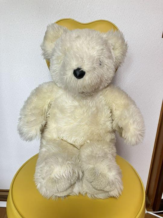 [USED] Teddy Bear