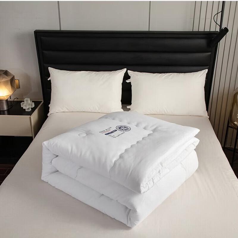 JOES HOME JDYM005 Warm All-Season Comforter