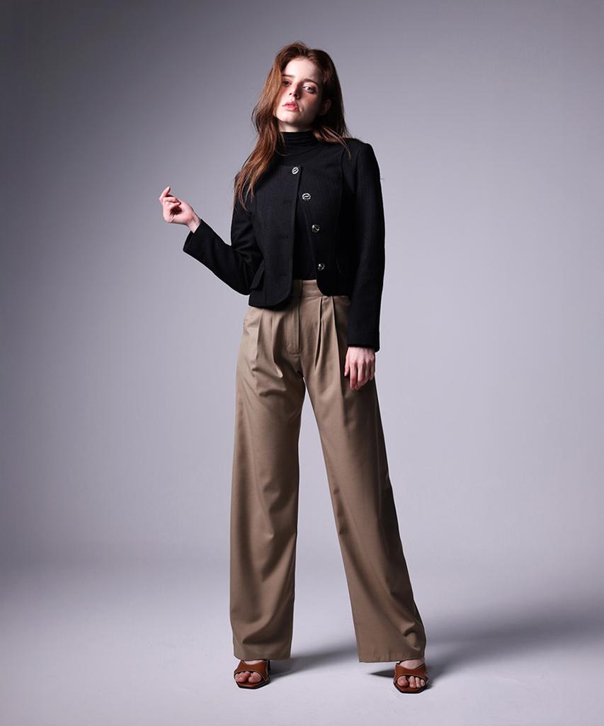 Daius Pintuck Wide Pants Brown