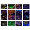 37mm 6 In 1 Aquarium Lens Fish Tank Phone Camera Lens Filter Macro Lens Yellow Lens Filter Coral Reef Aquarium Universal