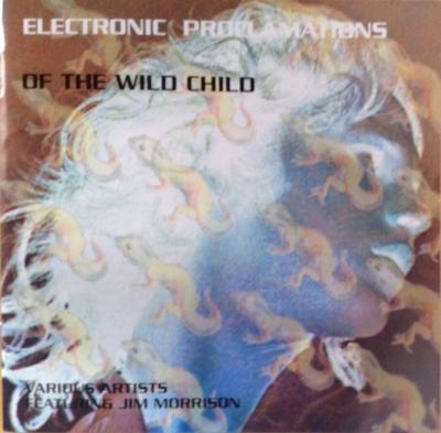 CD VARIOUS, JIM MORRISON - Electronic Proclamation Of The Wild BLCK86030 Morpheus Record 1999 Japan ObiDance & Electronica Used