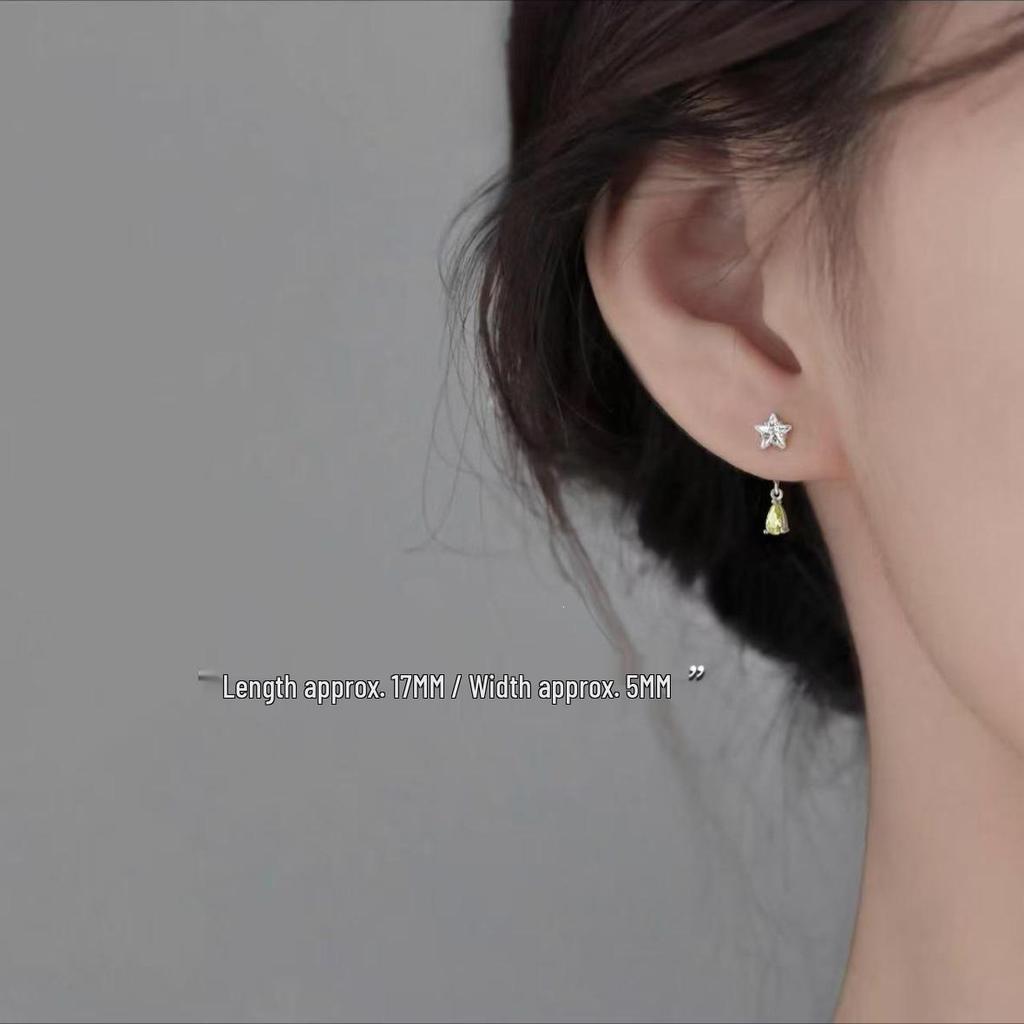 925 Sterling Silver Water Drop Earrings | Luxury Women's 2025 Style