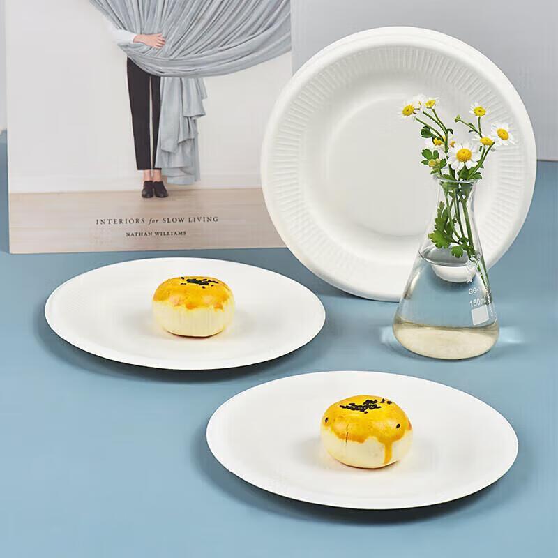JingJingRS Disposable Sugarcane Paper Plates