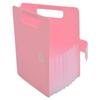 Sakura Craypas Origami Sticker Storage Small Pastel Pink Case, File, TF-O#220