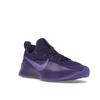 Nike LeBron TR 1 Purple Rain Unisex Sneakers Court-Purple Action-Grape FJ6151-500