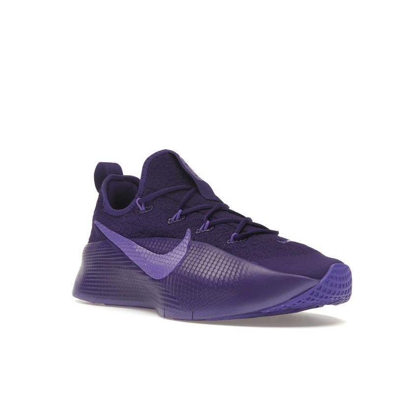 Nike LeBron TR 1 Purple Rain Unisex Sneakers Court-Purple Action-Grape FJ6151-500