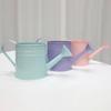 Vintage Iron Watering Can Planter Convenient Metal Container Perfect As a Flower Pots or Office Decoration