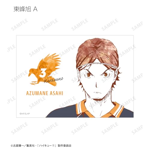 Armabianca Haikyu!! Trading Ani Art 1st Edition Bromide ver.A 12.7 x 8.9cm Paper Box of 18