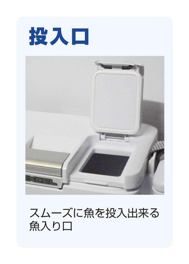 SHIMANO Kühlbox Klein 9L Fixel Light 90LF-009N Für Angeln Limettengrün