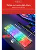 Douni KB101 RGB Transparent Gaming Keyboard