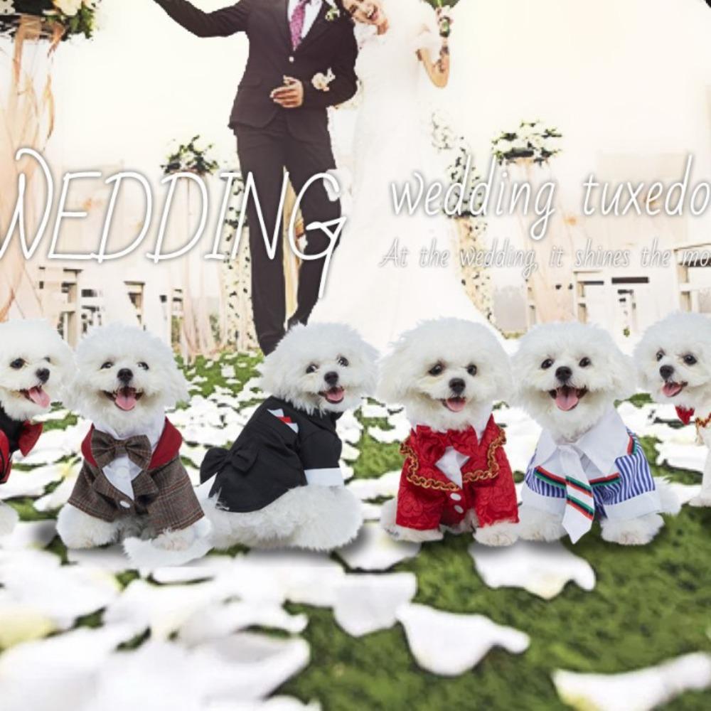 New Pet Dress Wedding Party Autumn Dog Dress Polyester Tie Suit Dress Puppy Dress