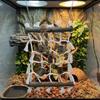 Natural Reptile Weaving Climbing Net Linen-cotton Bird Climbing Frame  Climbing Pet Animals