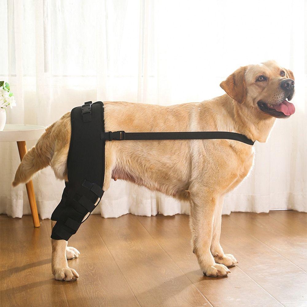 Adjustable Dog Knee Brace Comfortable Dog Leg Support Brace Pet Joint Protectors Wound Protection