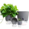 Transparent Double-Layer Self-Watering Pothos Pot - Large Round Design