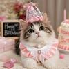 Bowknot Pet Birthday Hat Scarf Set Cute Cat Princess Hat Happy Birthday Cone Hat  Puppy Costume