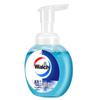 Walch Moisturizing Foaming Hand Wash, 225ml (2-Pack)