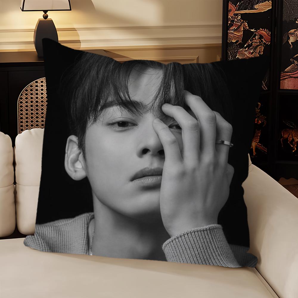 Korea Singer C-Cha Eun Woo Cushion Cover Sofa Living Room Bedroom Headboard Backrest Cushion Square Cushion Nap Time Pillow Case