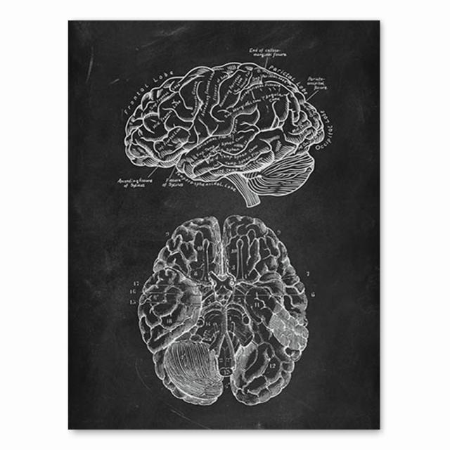 

Анатомия человека, художественная работа, медицинская клиника, настенная картина, скелет, орган, мышечная система, винтажный холст с принтом, плакат для обучения телу, без рамки 21*30cm