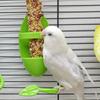 Bird Cuttlebone Holder with Feeding Dish for Parrots and Parakeets Calcium Supplement and Foraging Toy
