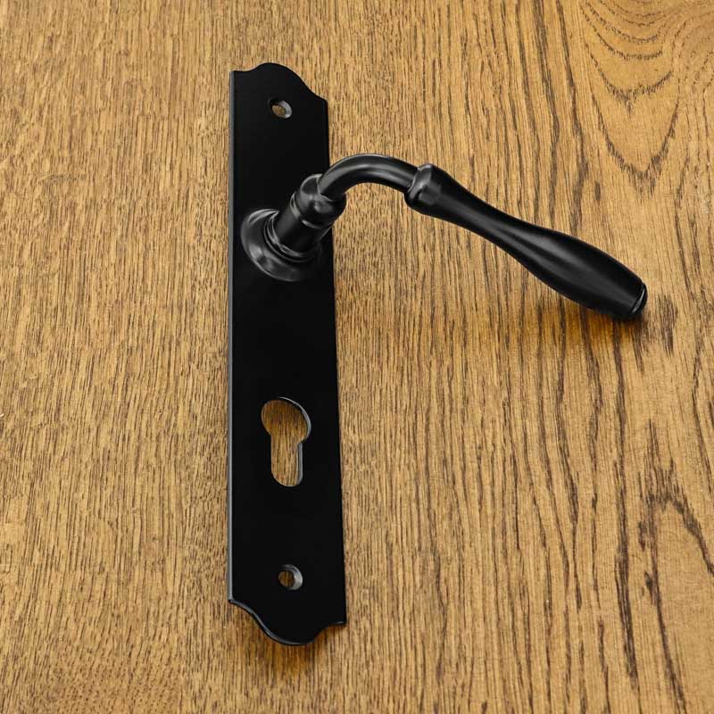 BRISTOL Door Handle with a Plate for a 72mm Insert